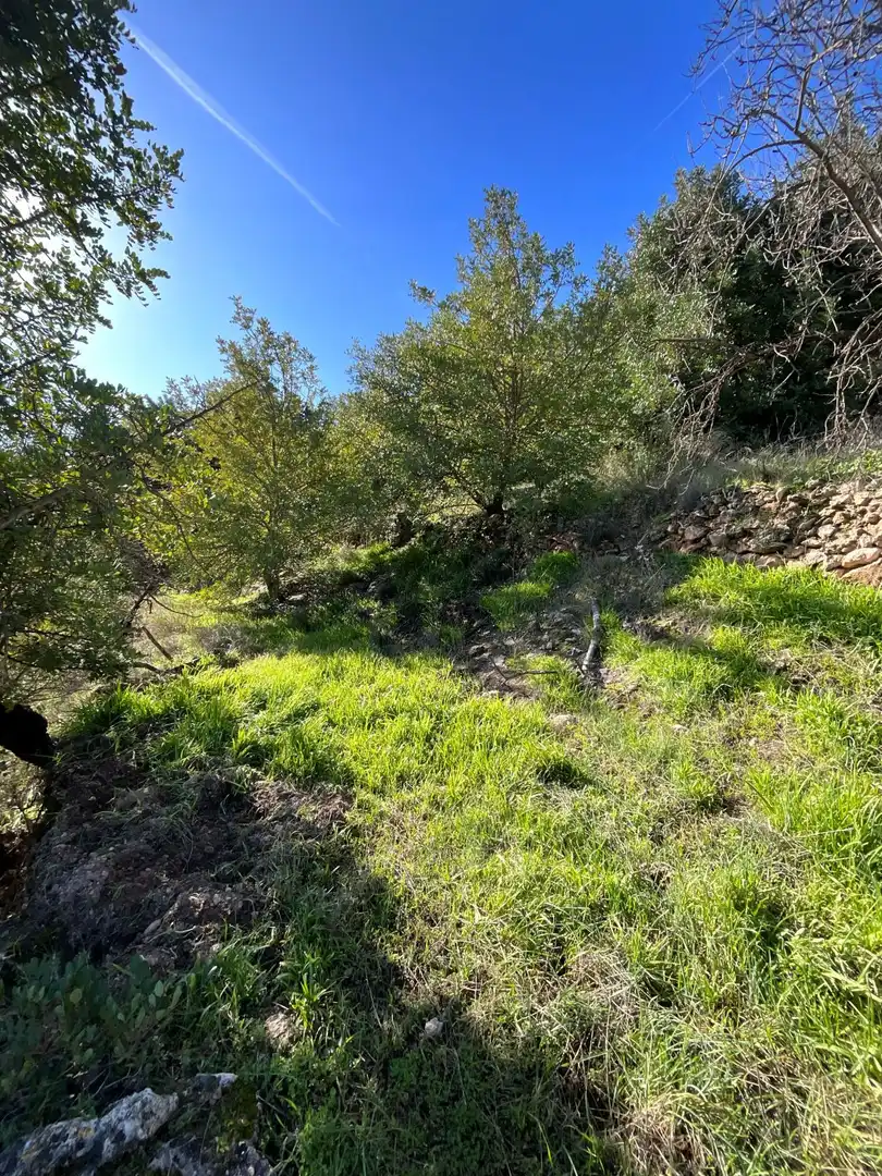 Terreni e lotti in vendita a Solero, imagen 15
