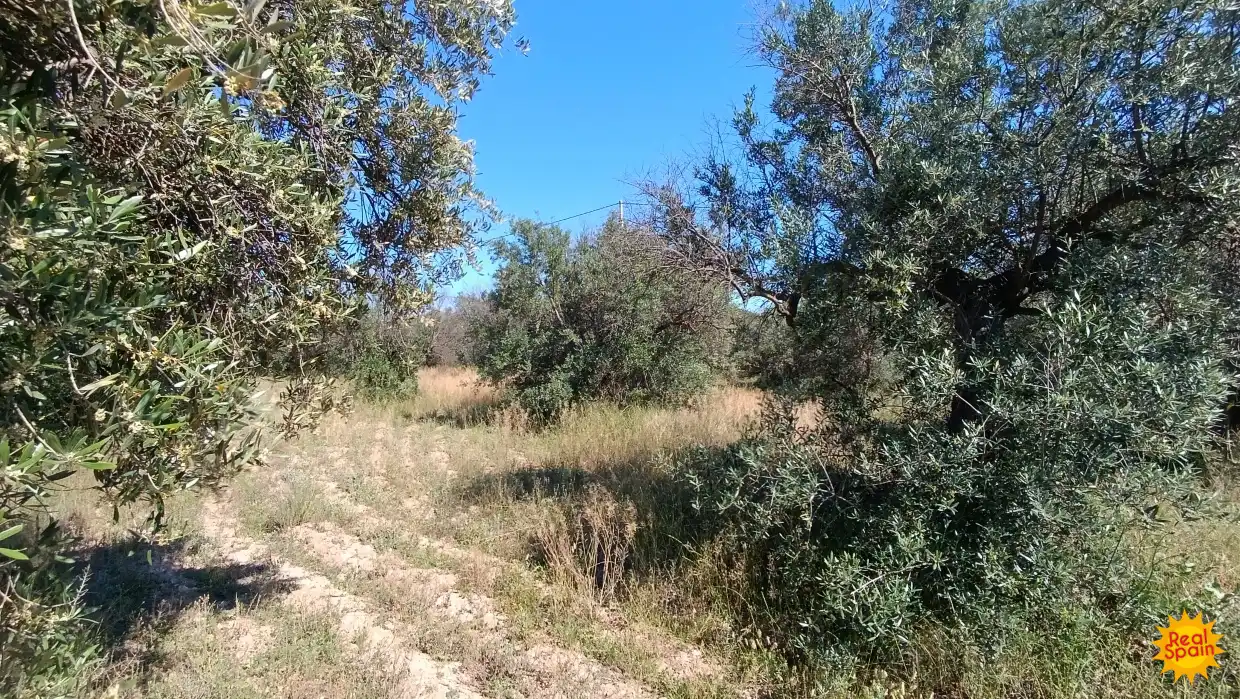 Casa rústica en venda a Vélez-Rubio