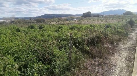 Foto 4 de Terreno en venta en Camino Senda de L´amo, 115, Miramar, Valencia