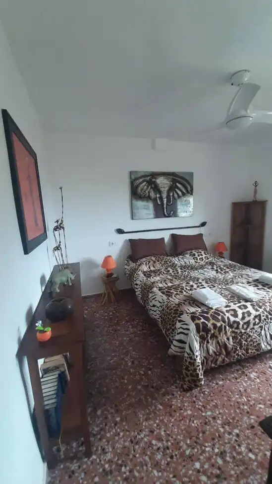 Maison à vendre à Canuta, imagen 44