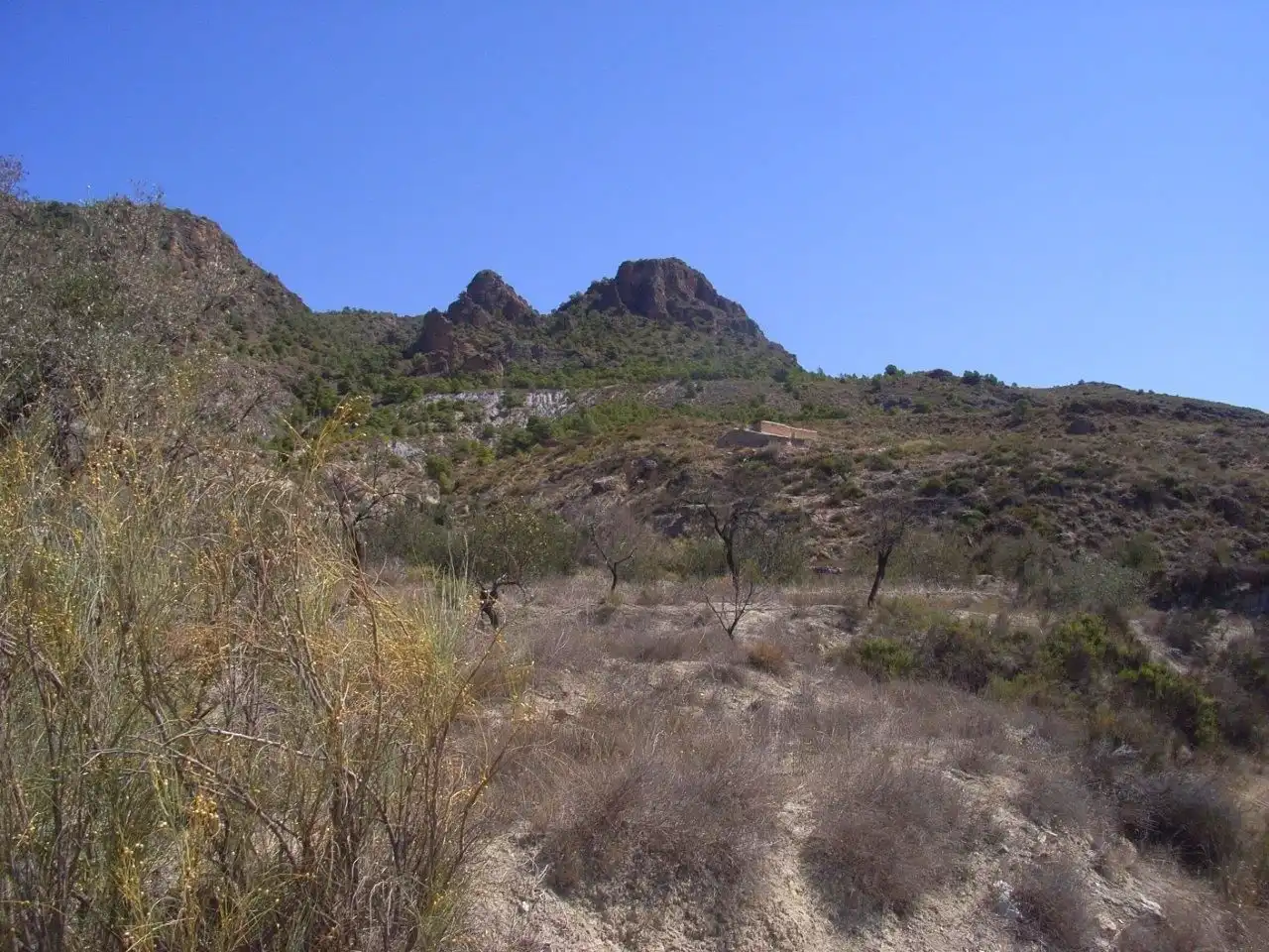Grundstücke zum Verkauf in Urrácal