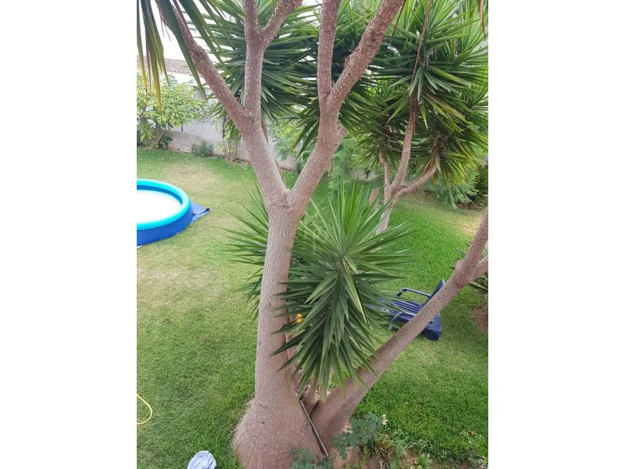 Jardín de Piso de alquiler en Vinaròs con Jardín privado, Terraza y Amueblado