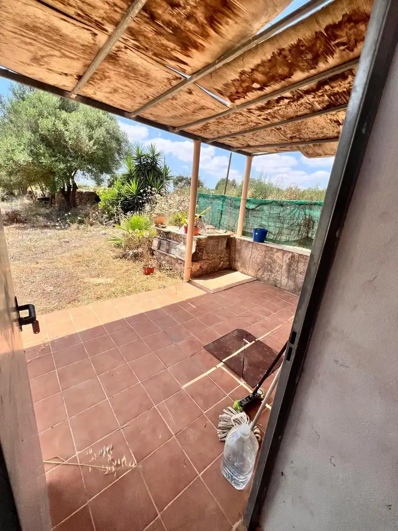 Jardín de Finca rústica en venta en Vilafranca de Bonany