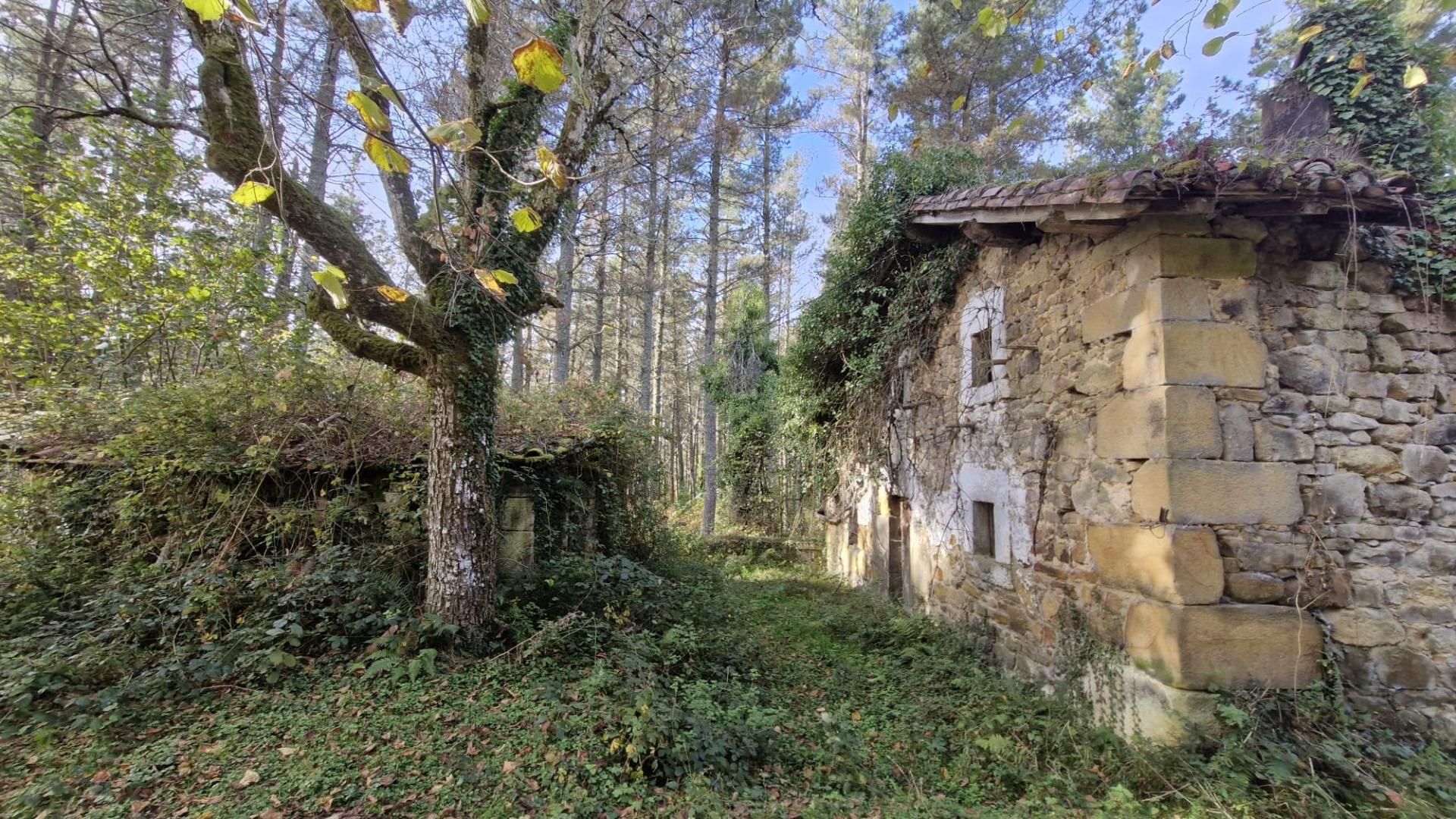 House or chalet for sale in  SARRIA, Berriz