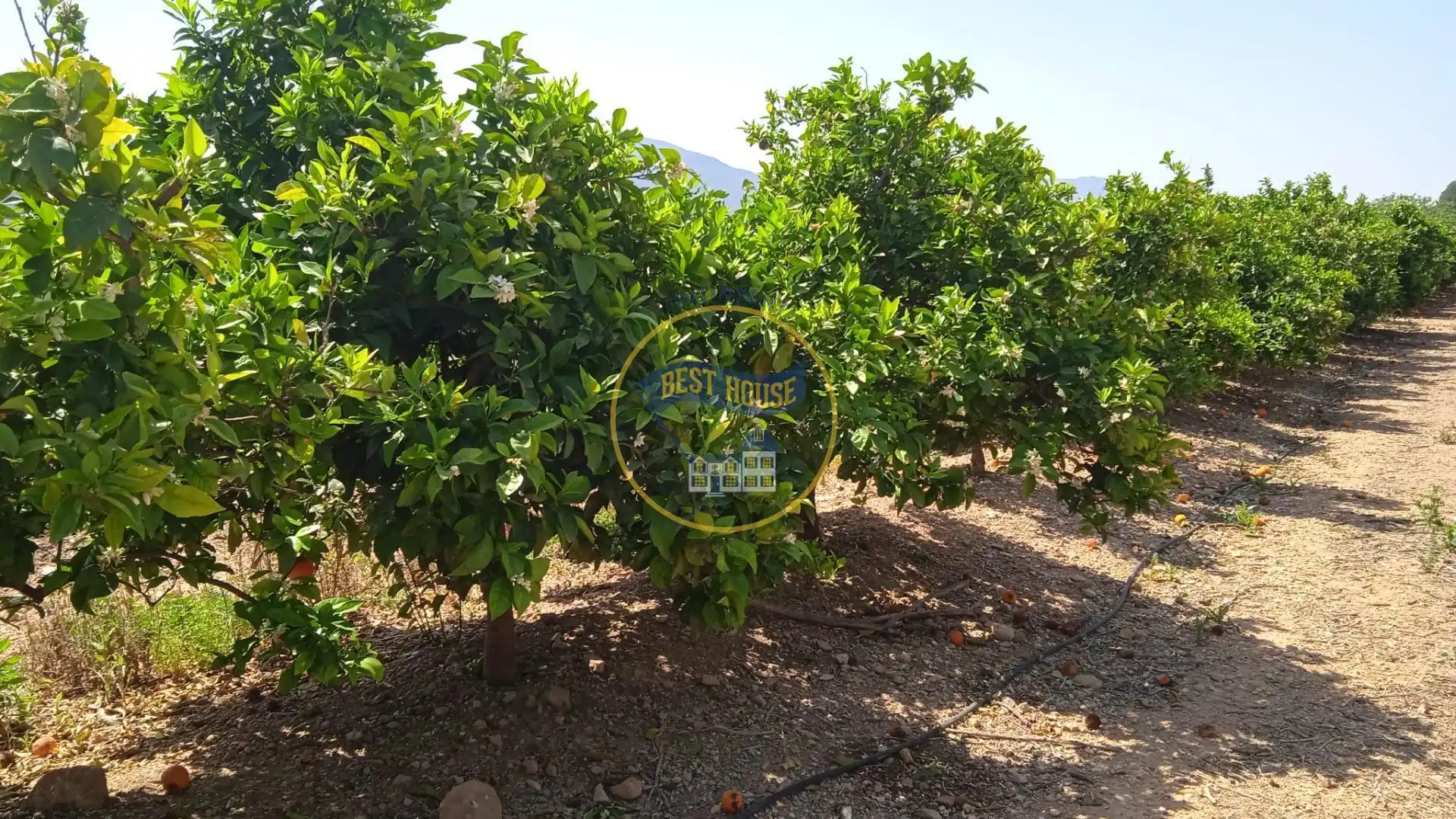Terreno residencial en venta en Montesa