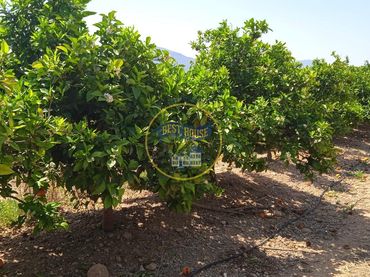 Terreno residencial en venta en Montesa