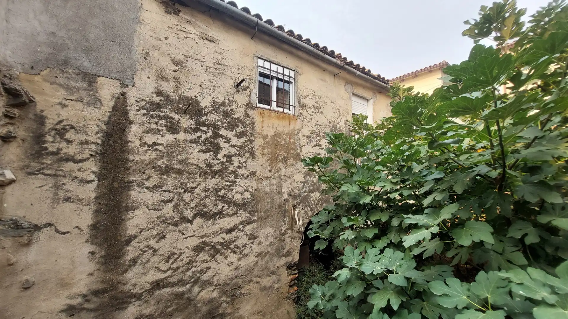 Vista exterior de Casa o chalet en venta en Mirabel