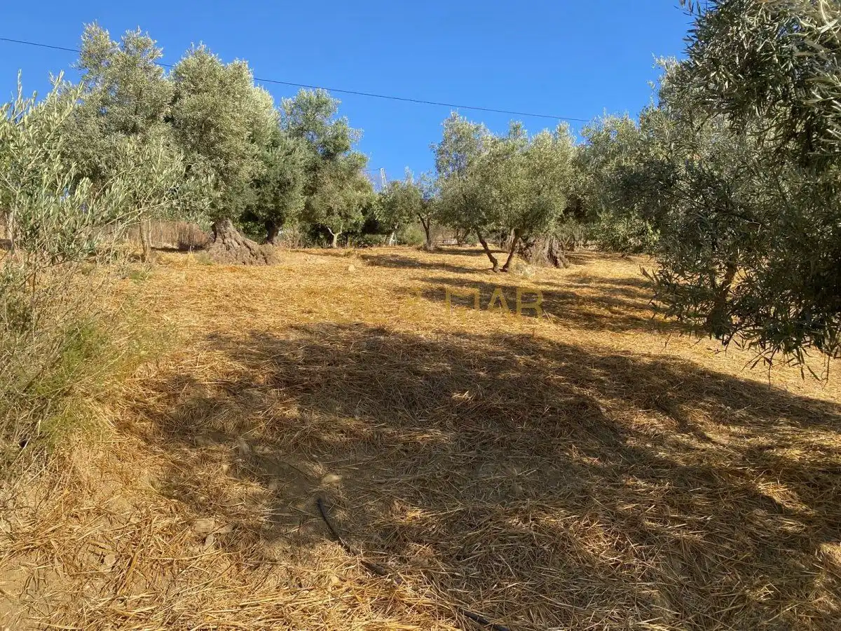 Finca rústica en venda en Antequera