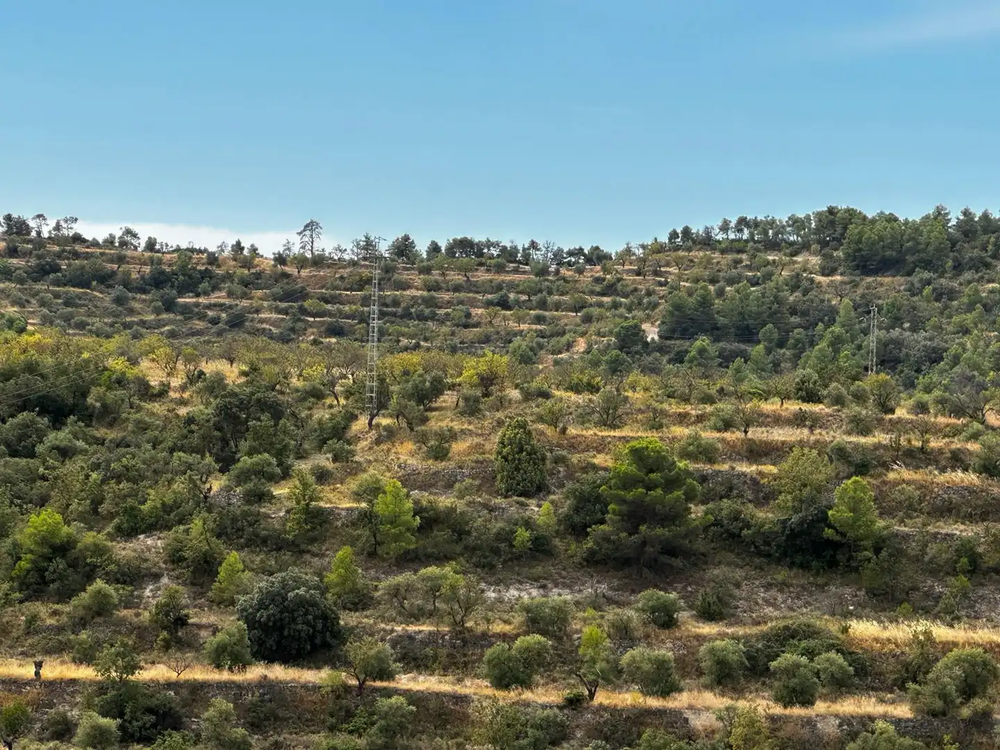 Terreny rústic en venda a Cervià de Les Garrigues, imagen 17