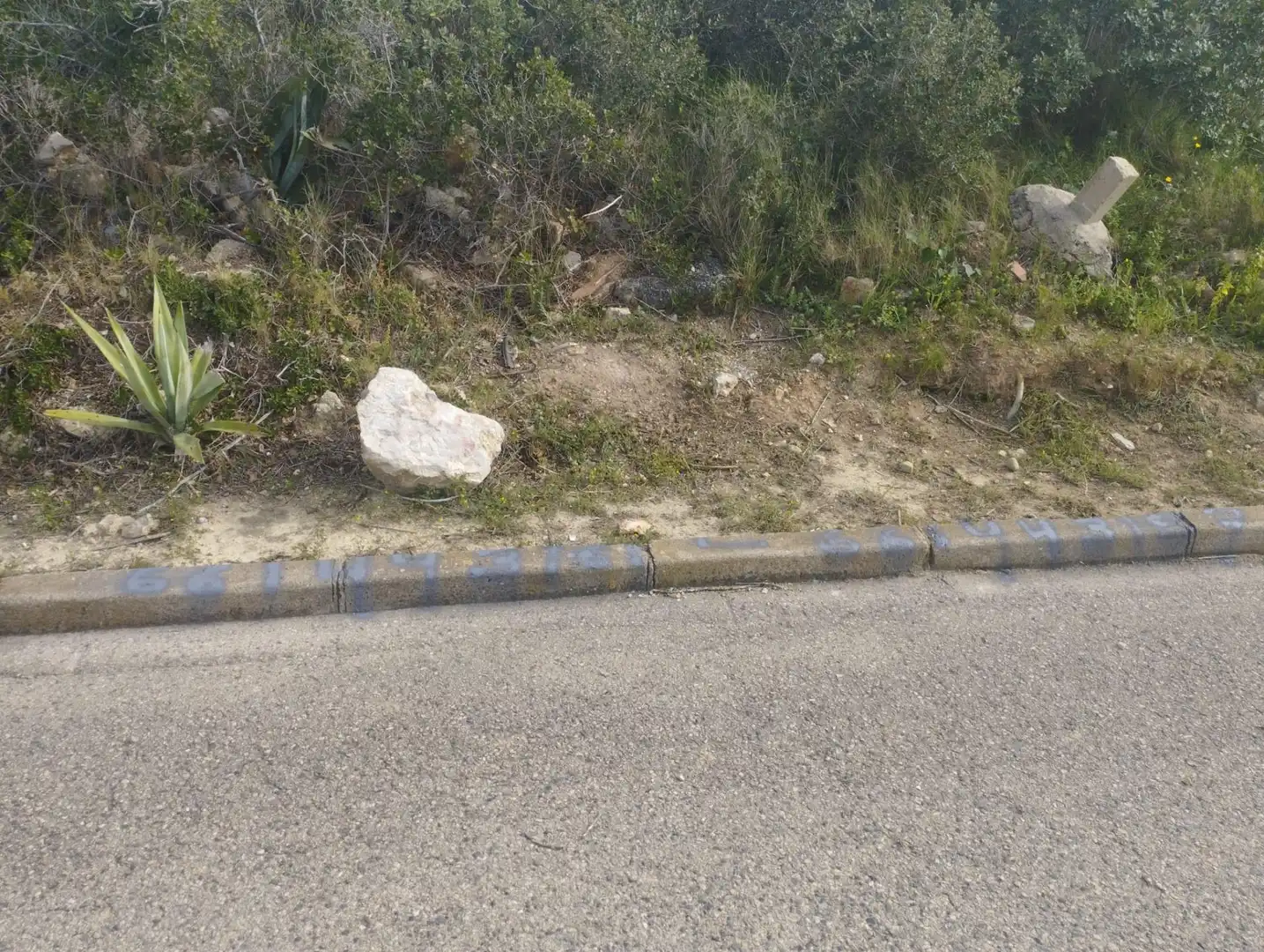 Residential land for sale in La Bisbal del Penedès, imagen 6