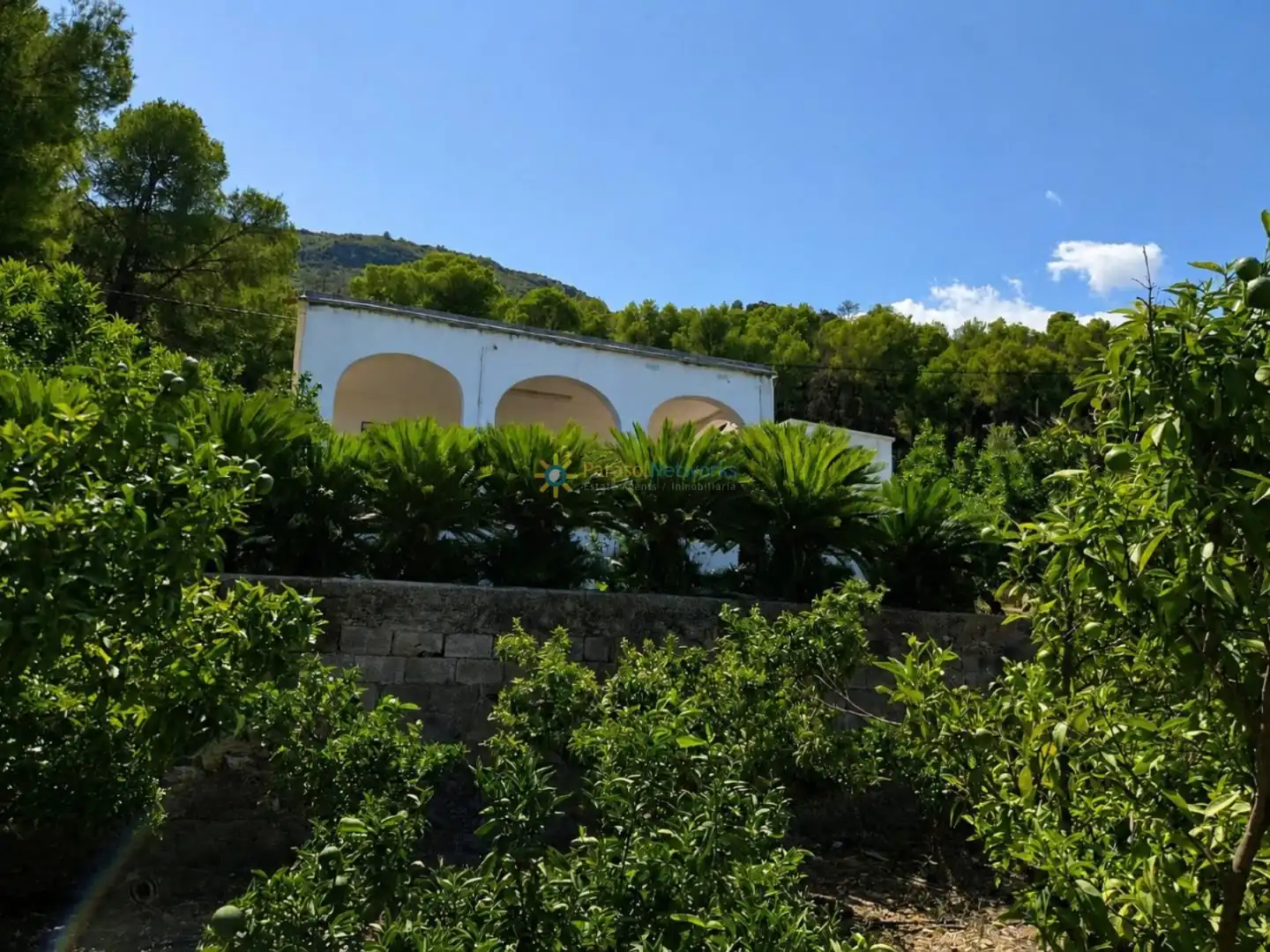 Xalet amb jardí en venda a Pego, imagen 25