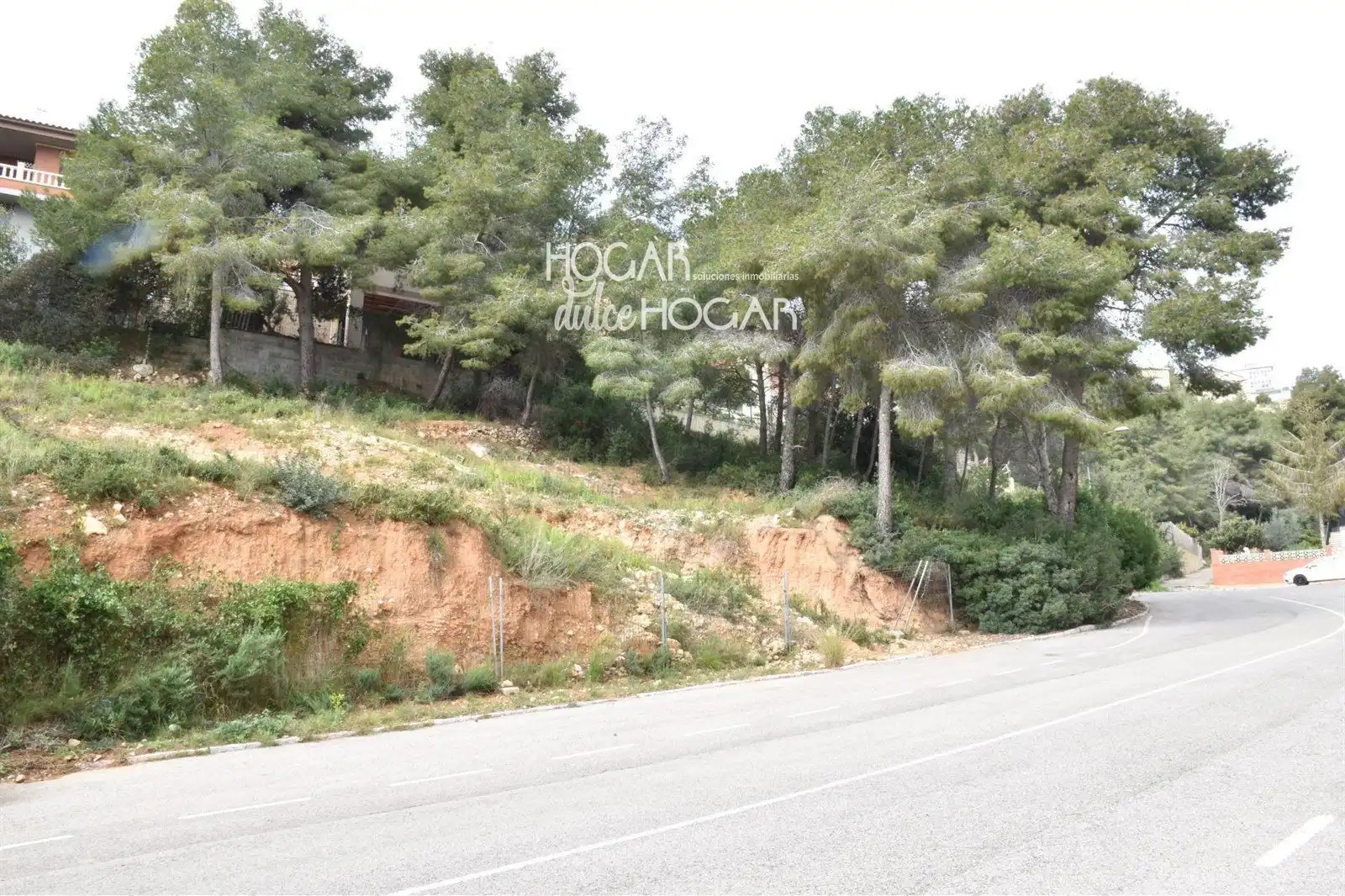 Rural land for sale in GLADIOL, imagen 4