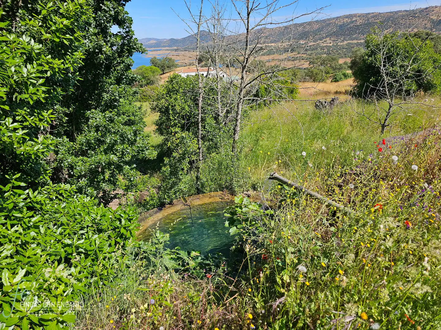 Garden of Country homes for sale in Cazalla de la Sierra  with Swimming Pool