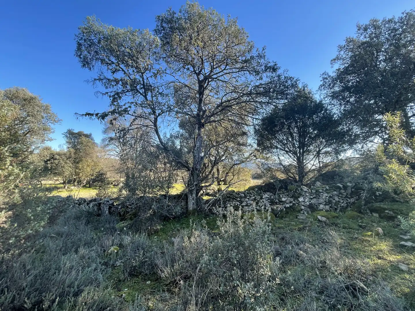 Terreni e lotti in vendita a Fresnedilla, imagen 23