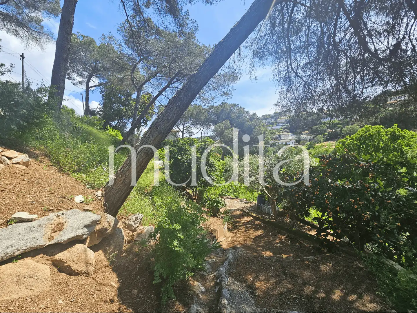 Terreno residencial en venta en Joan Maragall i Gorina, imagen 21