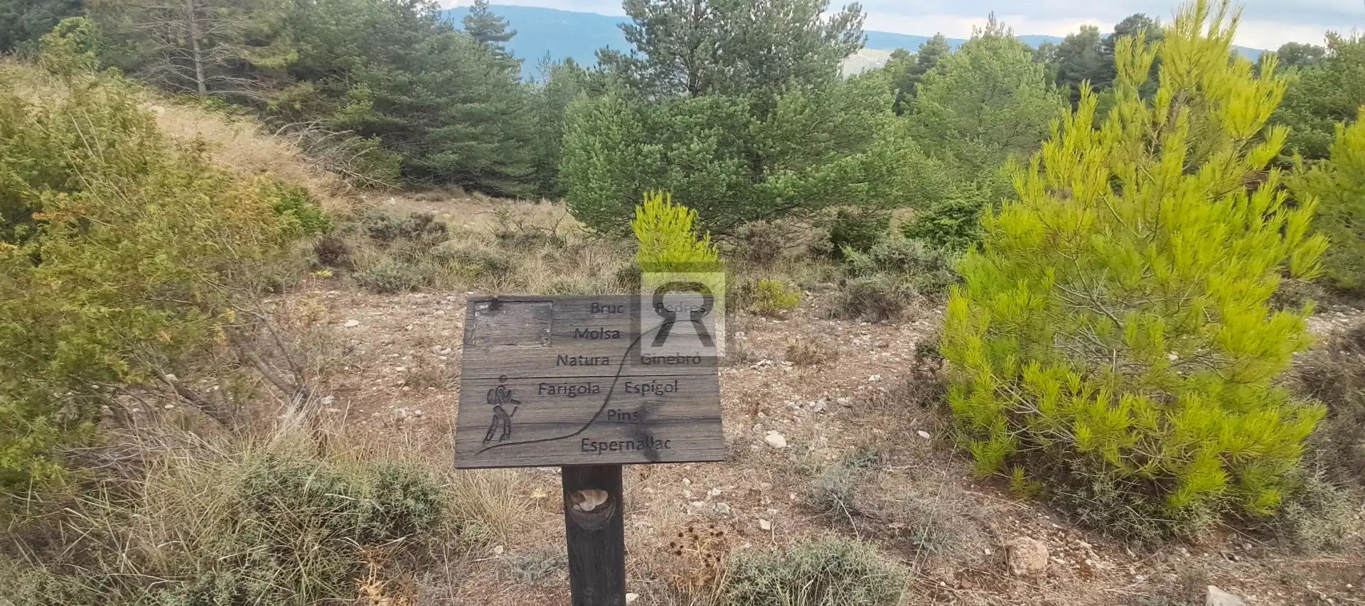 Terrain rustique à vendre à Coroneta 30, imagen 19