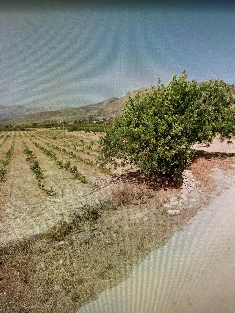 Rural land for sale in Benissa pueblo, imagen 5