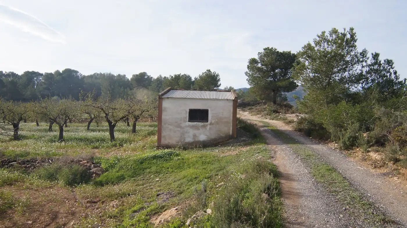Terrain rustique à vendre à Rasquera, imagen 5