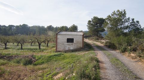 Finca rústica de 2,4 Hectáreas con caseta en Rasquera, immagine 5