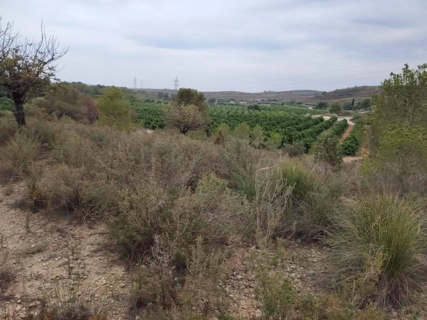 Terreny rústic en venda a Santa Bárbara, imagen 11