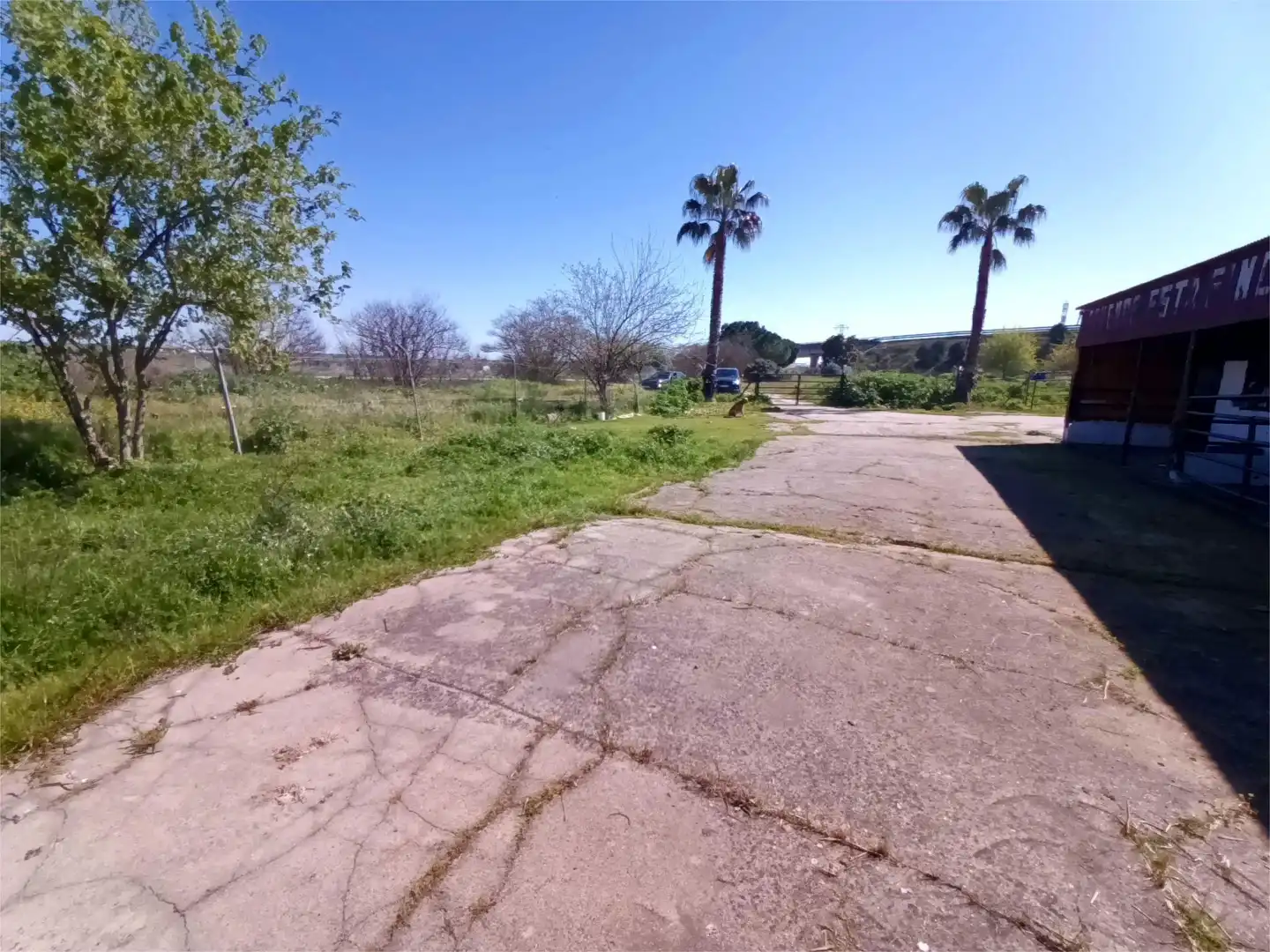 Finca rústica en venta en La Garrovilla 