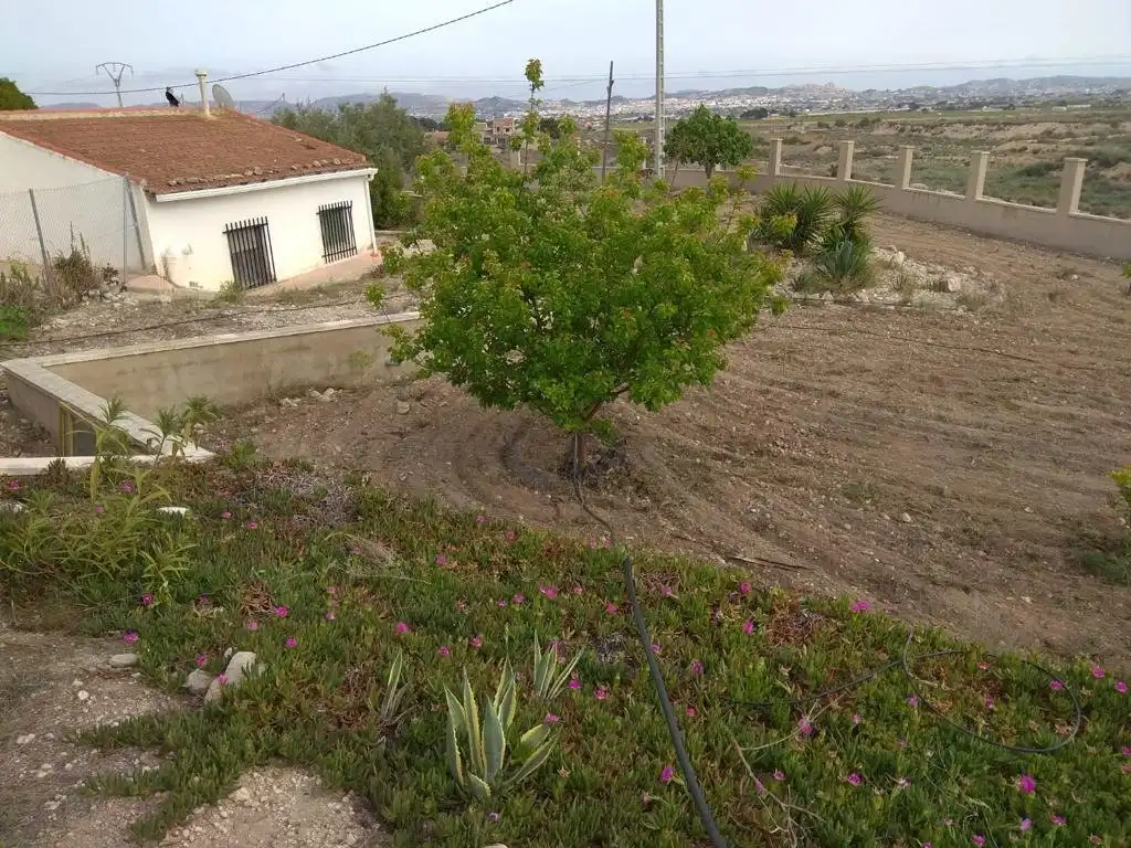 Houses for sale in Novelda  with Private garden, Terrace and Swimming Pool