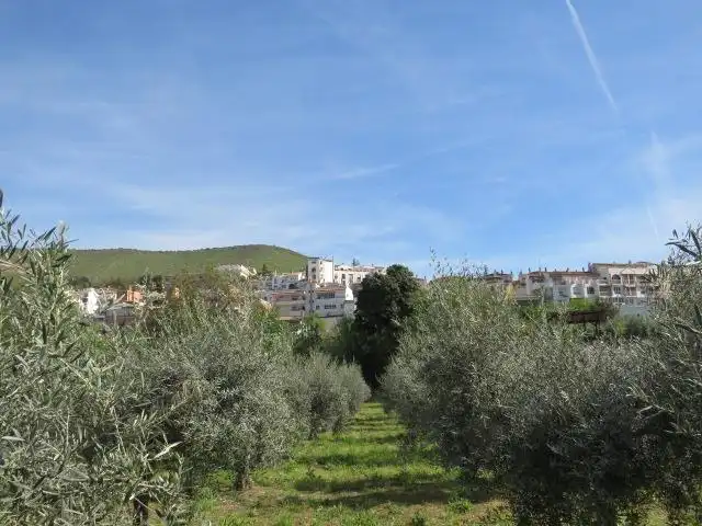 Vista exterior de Terreno en venta en Cenes de la Vega