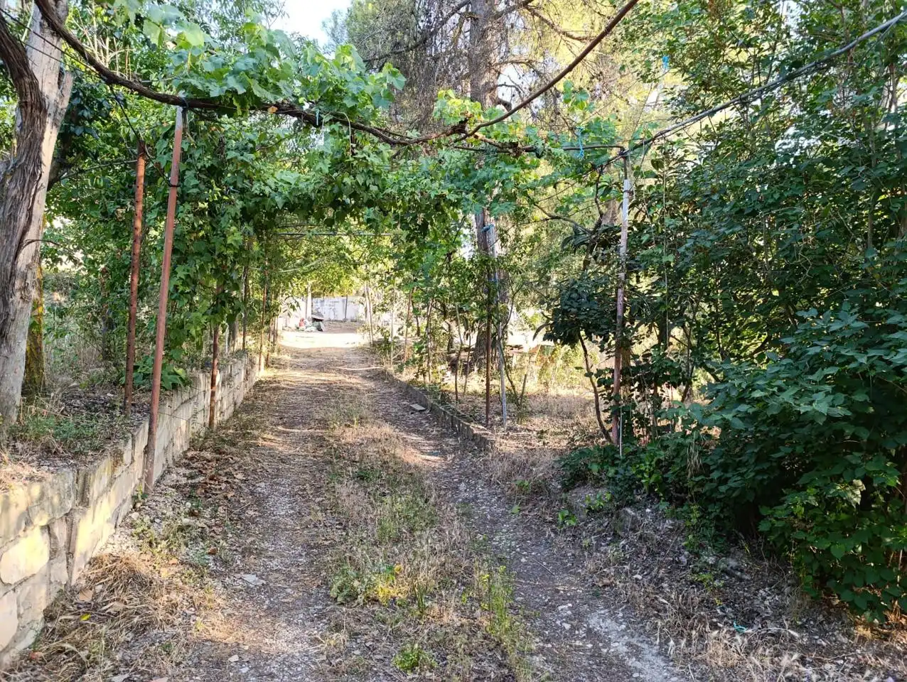Casa rustica in vendita a Ibi, imagen 12