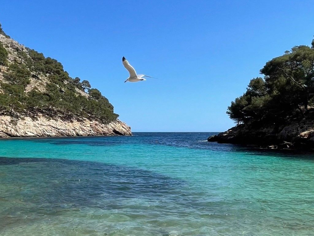 Exterior view of Country house for sale in Manacor  with Air Conditioner, Heating and Private garden