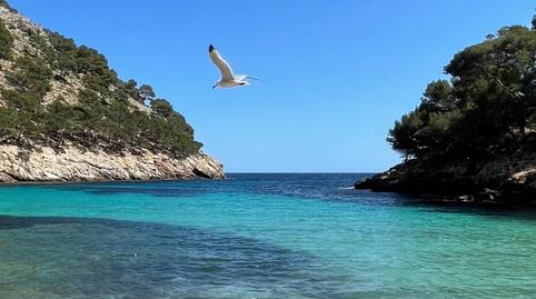 Foto 2 de Finca rústica en venda a Cala Magrana - Cala Anguila - Cala Mendia, Manacor