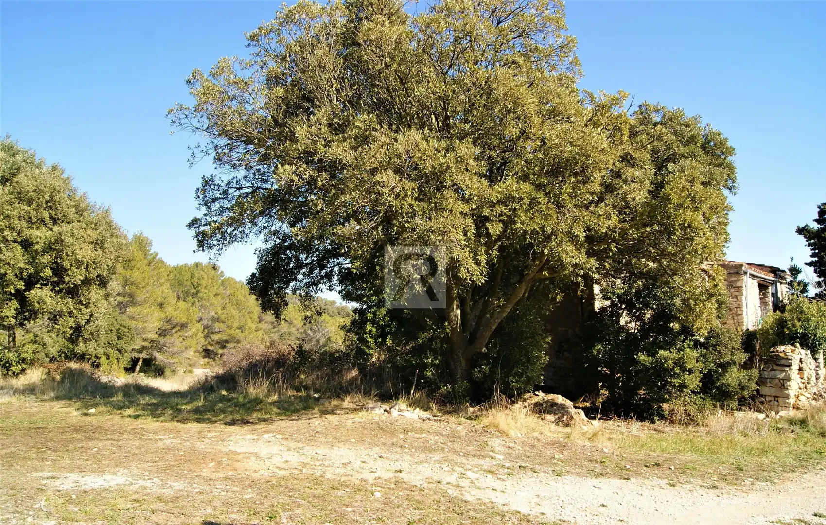 Wohnbaugrundstück zum Verkauf in Carrer el Bosquet 18, imagen 3