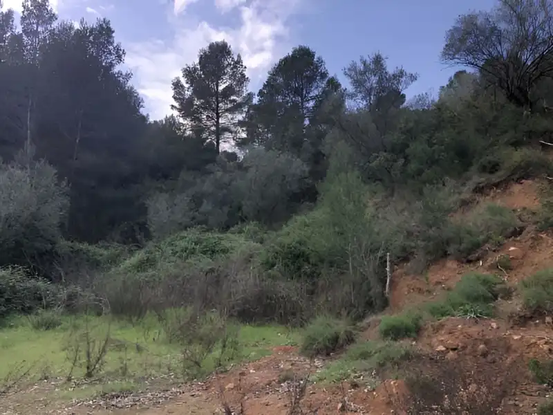 Residencial en venta en PARAJE EMBASTIDA O BASTIDA, Xàtiva