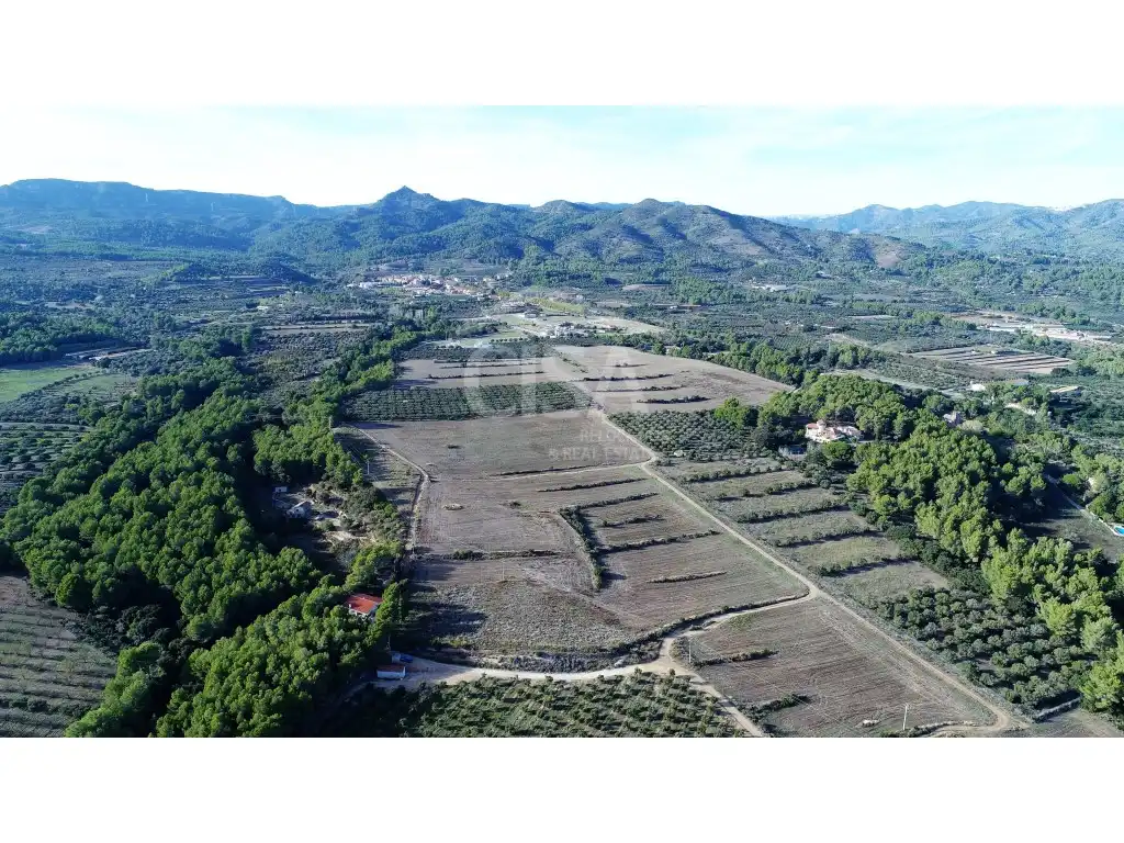 Terreno residenziale in vendita a Calle Mont-Roig Del Camp, imagen 6