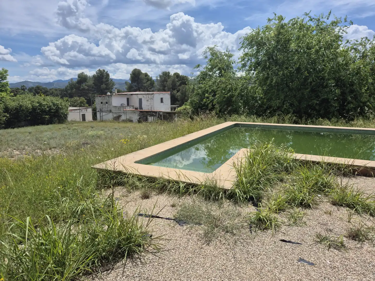 Swimming pool of Houses for sale in Sollana  with Terrace