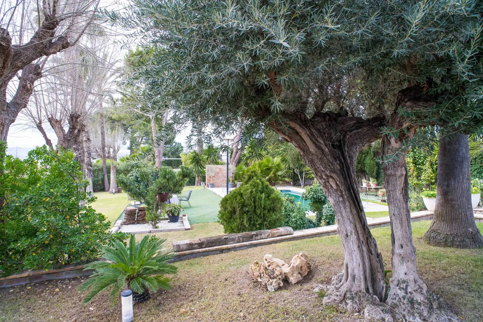 Jardí de Casa o xalet en venda en Petrer