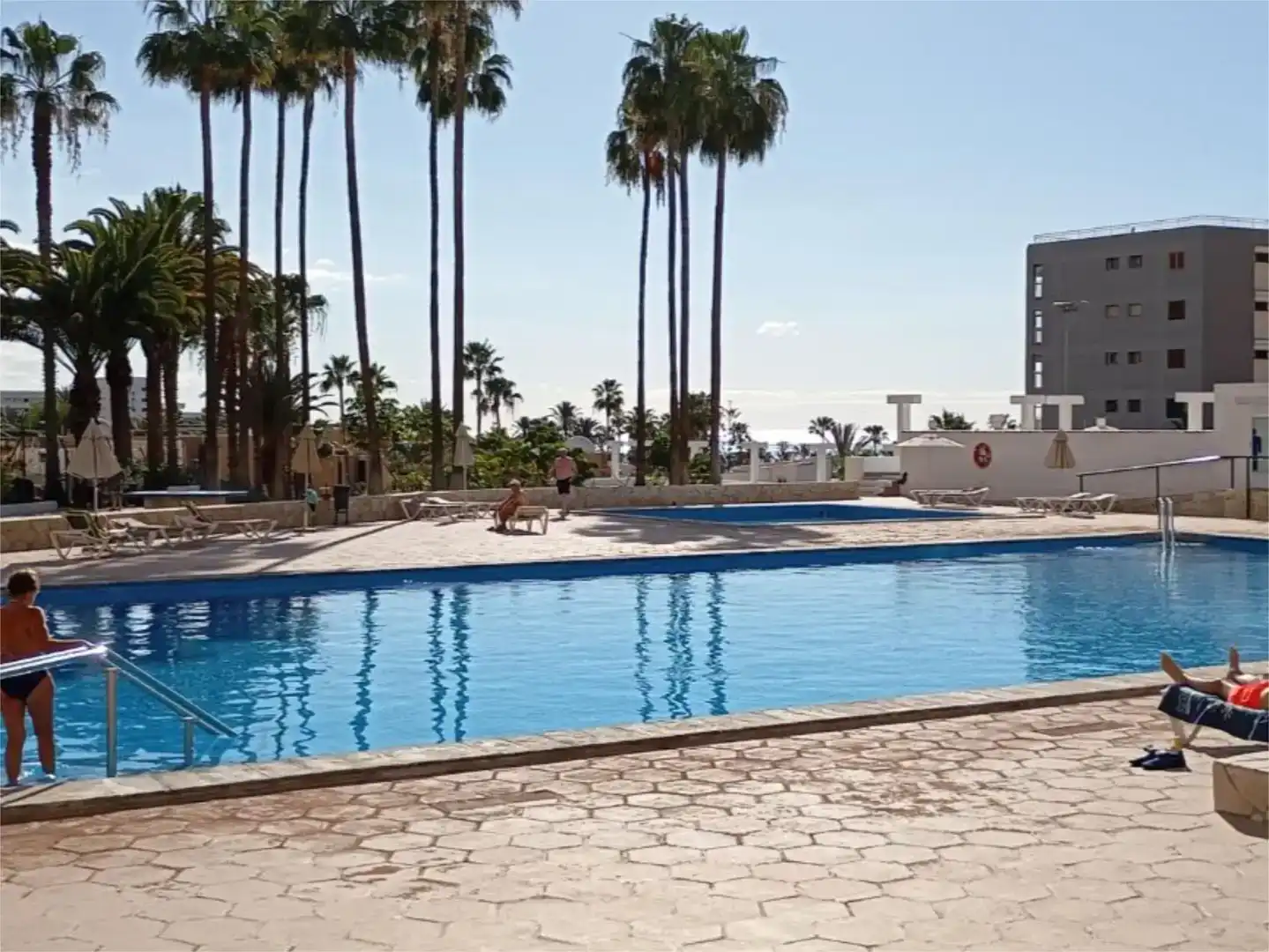 Schwimmbecken von Wohnungen zur Miete in Adeje mit Schwimmbad, Möbliert und Balkon
