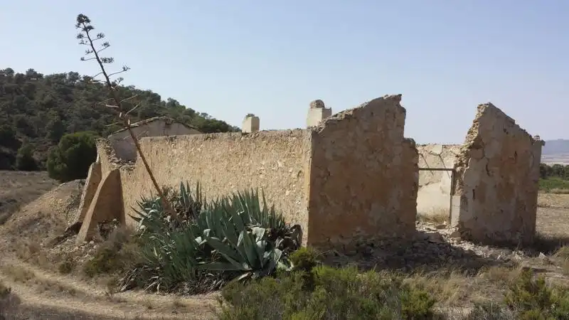 Villa avec jardin à vendre à Fortuna, imagen 47