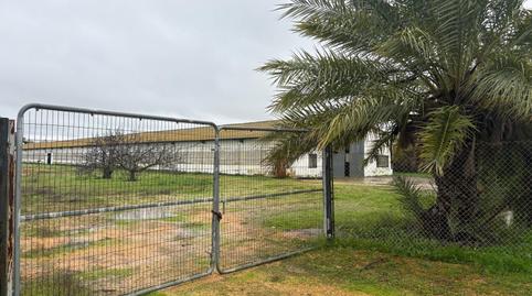 Photo 4 of Land for sale in La Orden,  Huelva Capital