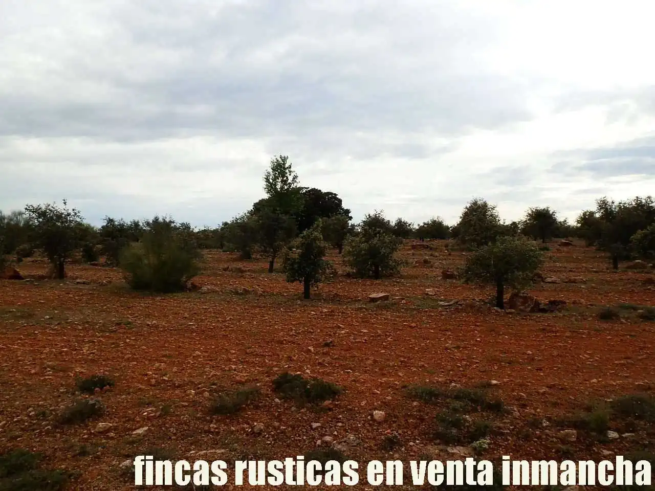Terreno rustico in vendita a Ruidera, imagen 24