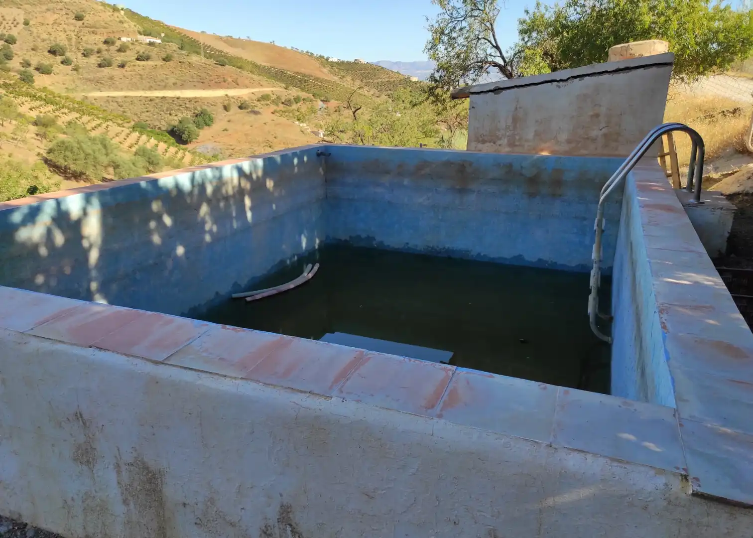 Piscina de Finca rústica en venda en Canillas de Aceituno amb Jardí privat, Terrassa i Traster