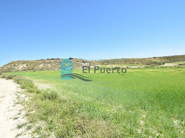 Terreny rústic en venda a Mazarrón Casco Urbano
