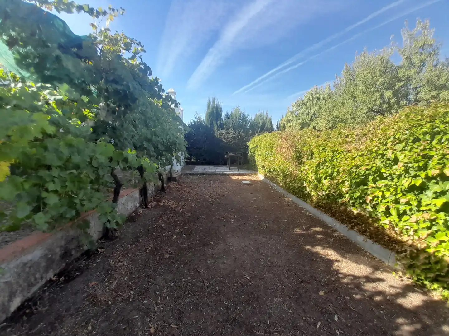 House with pool for sale in Carretera de Villamayor, imagen 18