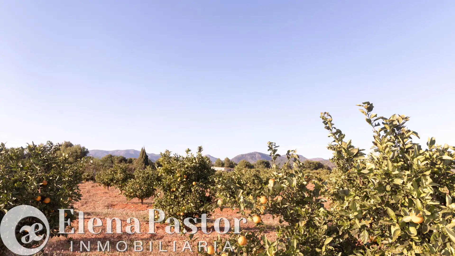 Terreno en venta en Bétera