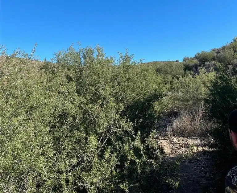 Terreny residencial en venda a SIETE FUENTES 35, imagen 12