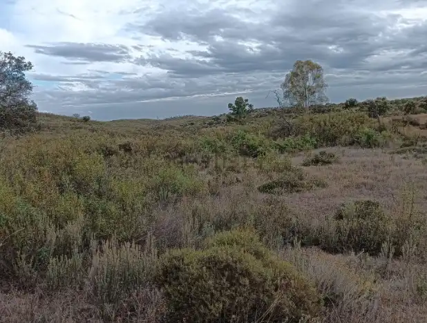 Terreno rustico in vendita a Calle Dehesa 9, imagen 4