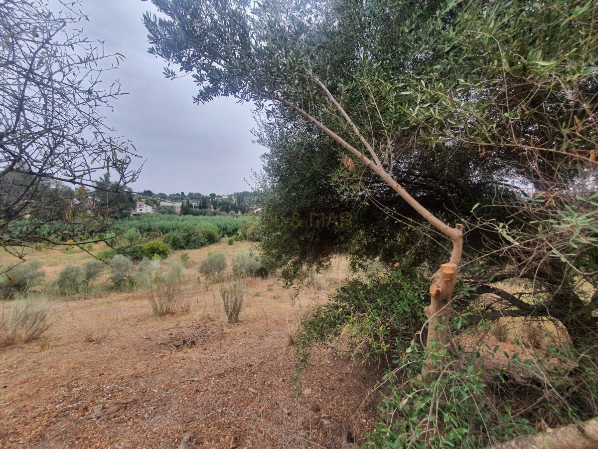 Finca rústica en venta en Málaga Capital