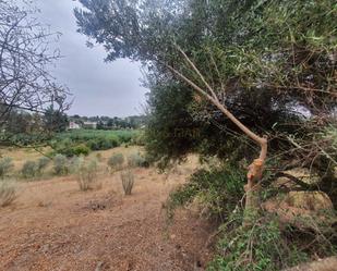 Finca rústica en venda en Málaga Capital