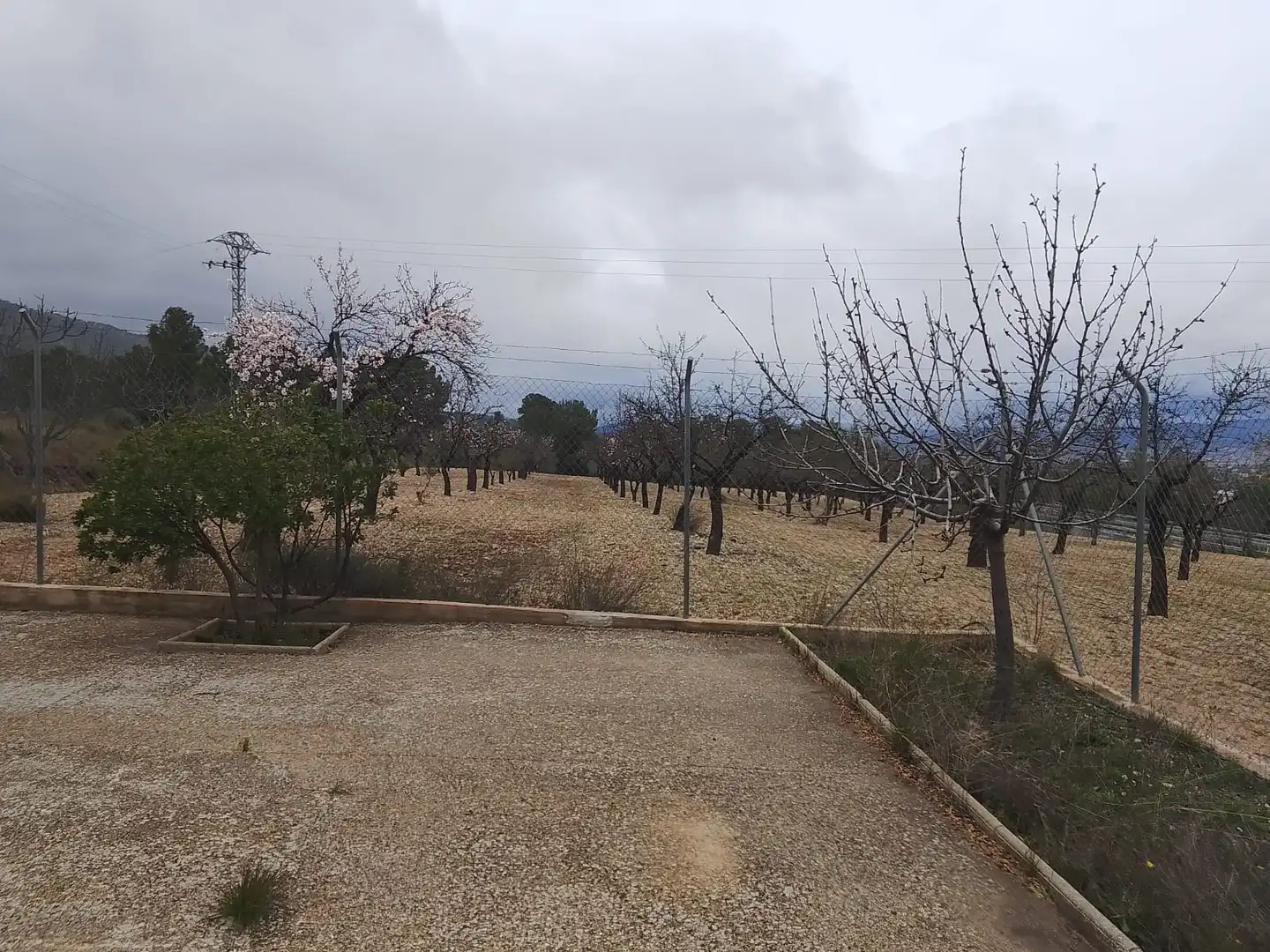 Casa o xalet en venda en Tibi amb Jardí privat, Terrassa i Moblat