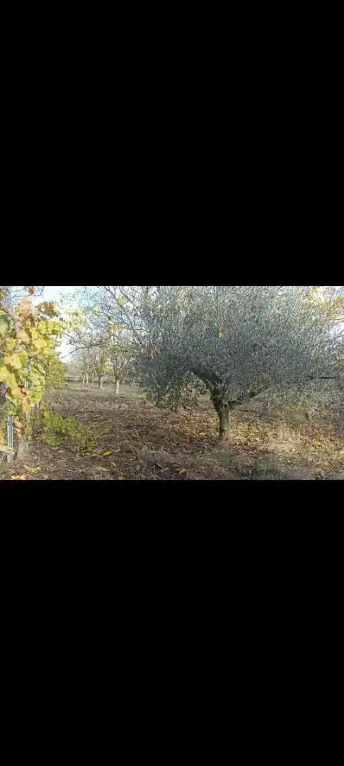 Terreno en venta en Pitillas