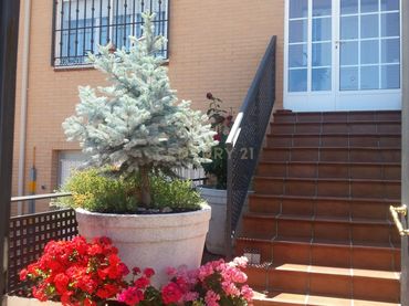Casa a schiera in affitto a Montesol - Mejostilla